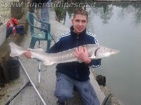 Lago isoletta Brescia - Come ti pesco uno storione di 15kg