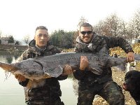 Lago la Gioia - Storione di 50kg circa con sottiletta