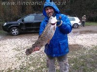 Lago Parco di veio - Trota di 5kg