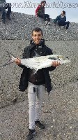 Leccia amia di 10kg presa con il vivo alla Diga di Genova