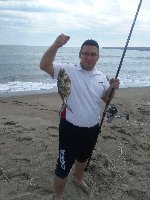 Leccia stella da riva presso la spiaggia di Agnone
