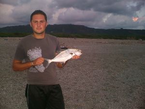     Lampuga dorata a spinning  