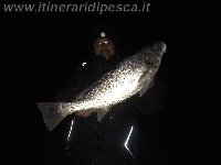 Litorale Pontino - Ombrina di quasi 3kg dal Martin Pescatore
