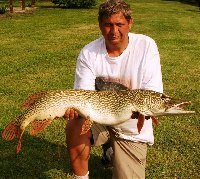 Luccio di quasi 10kg sul fiume Drava