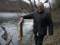     CARPA DEL TEVERE  