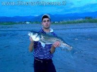 Marina di Santa Maria del cedro - Spigola di 5kg a surf
