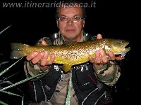 Valstagna fiume Brenta marmorata con livelli minimi del fiume 