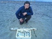 Spigola XXL sulla spiaggia di Marina di Pisa