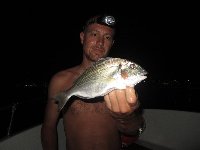 Fano - Carpa da 19kg