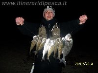 Orate a mormore a Cagliari a surf casting con coreano