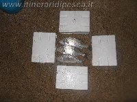 Coppia di barracuda con mommotti 180
