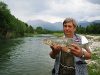 Storione di oltre 21kg a laghetto di Galliate