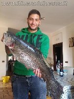 Oltre 4kg di trota ai laghi Mammut con il mio Daiwa Procaster