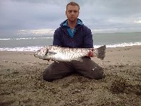 Pesce serra di oltre 6 kg in provincia di Livorno