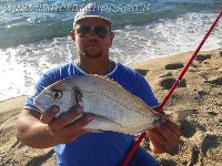 Orata di 1,7 kg a Beach Ledgering con il mio Alivio 4000fd