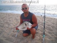 Coppia di barracuda con mommotti 180