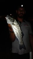 Palermo - Pesca alla spigola con bibi a surf casting