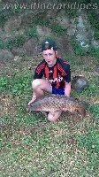 Super pesce gatto al lago le Palme di Genzano