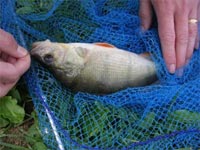     Pesca dagli scogli di bordghera ,dopo 3 giorni di vento  