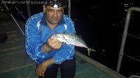 Pesca a lignano sabbiadoro con big sugarello a surf casting
