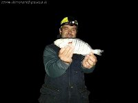 Pesca alla mormora dalla spiaggia di Vasto Marina con arenicola