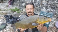 Pesca alla tinca con la tecnica feeder al lago di Lecco