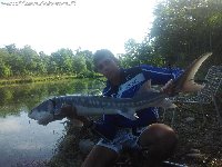 Pesca allo storione in laghetto - Danilo sa come fare