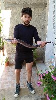 Pesca del grongo da terra a surf casting in Sicilia.