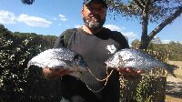 Poggio Pertuso - Ansedonia - Coppia di orate a surf casting