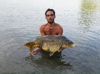 Pontelagoscuro - Ferrara - Carpa sul Po a carpfishing
