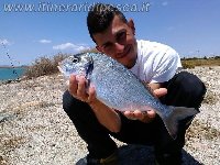 Pesca nel canale di Cagliari con il granchio di sabbia