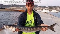 Barracuda con Mommotti 180 SF - Porto di Ischia