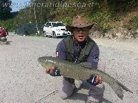 Quasi 9kg di Carpa con un pica giallo. Incredibile.