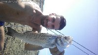 Principina a mare - Spigola a surf casting nel canalone del fiume ombrone