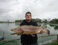 43 trote e una big trout di 1,570 kg