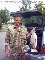 Traina - Pesca a Viareggio con serra di oltre 10kg con grongo come esca