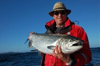 Salmone gigante canadese