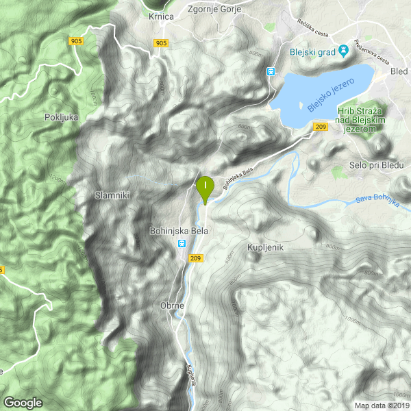 Le coordinate di questo lago a pagamento. Lat: 46.345024 Long: 14.066051