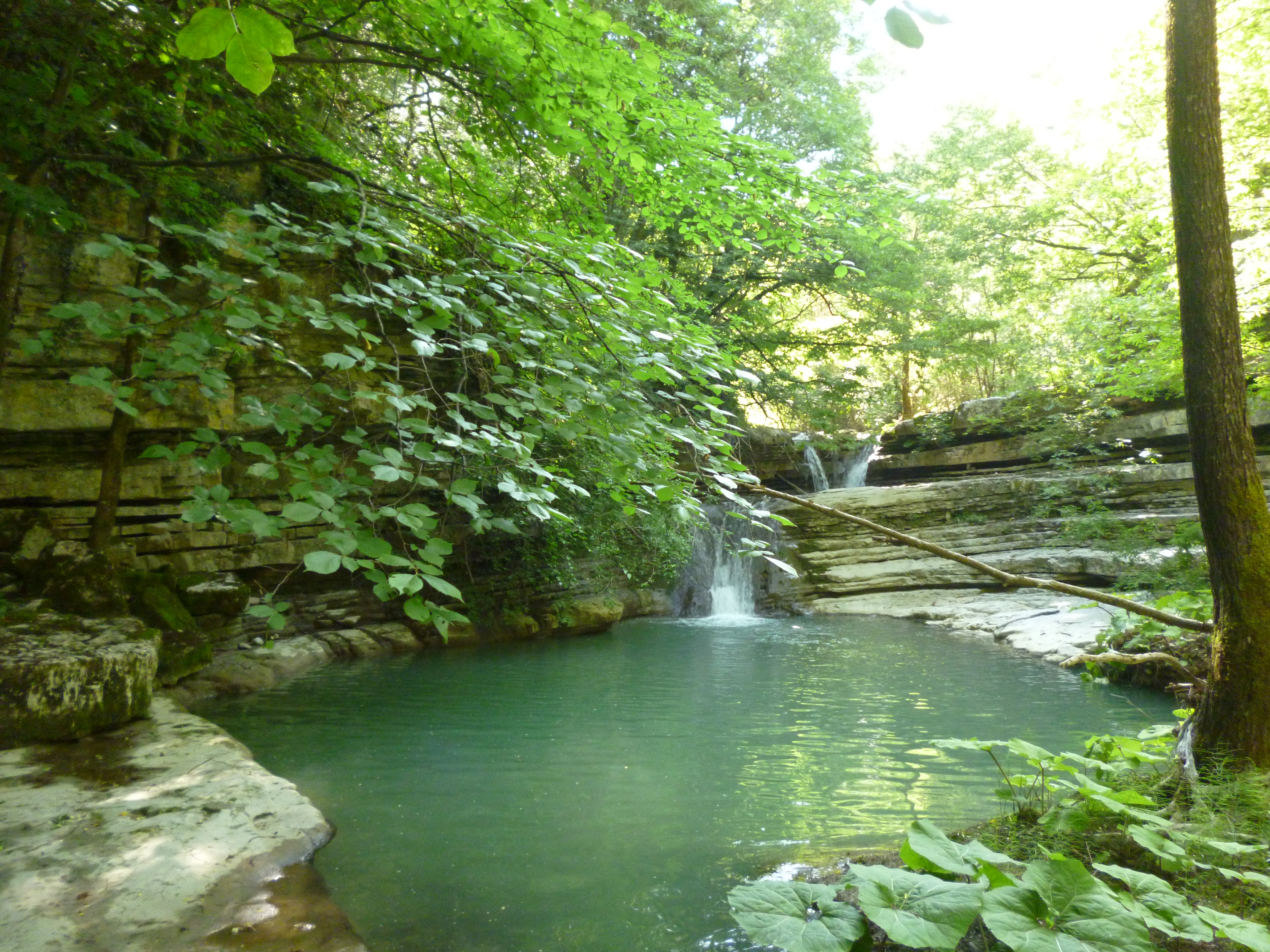 Accompagnati da Piscor a pesca di Barbi e Cavedani lungo il medio corso del Trigno, al confine tra Abruzzo e Molise.
