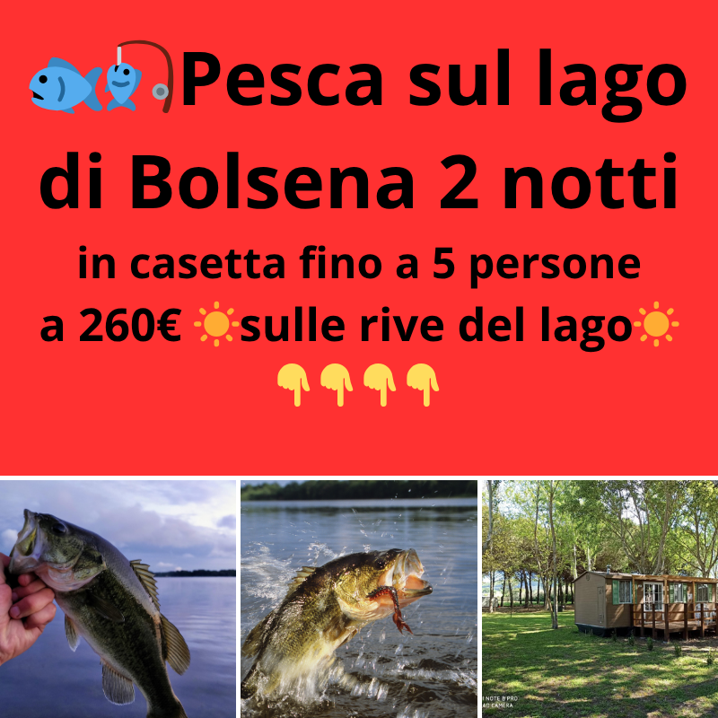 Dormi e pesca sulle rive del lago di Bolsena - Fino a 5 persone