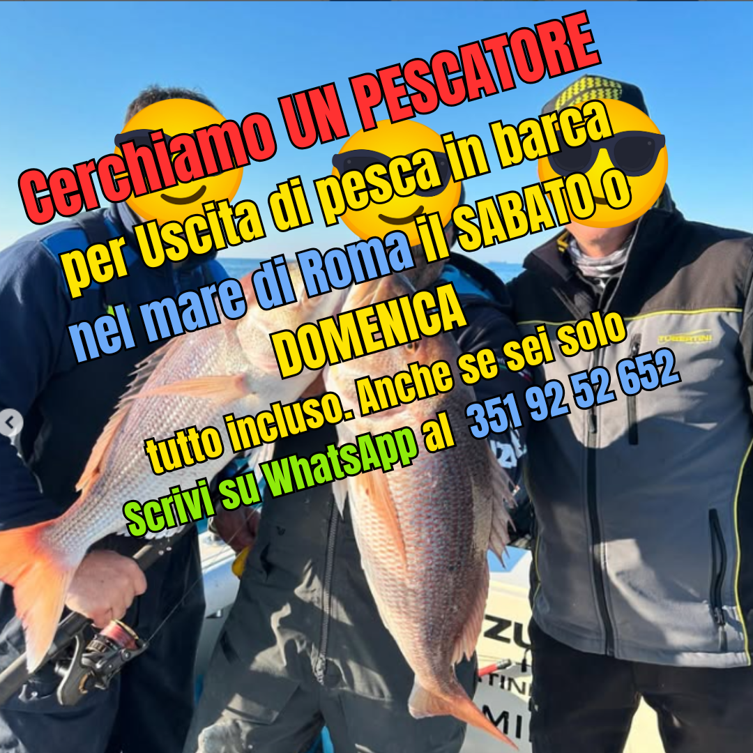 Cerchiamo UN PESCATORE per uscita di pesca in mare a Fiumicino per SABATO O DOMENICA
