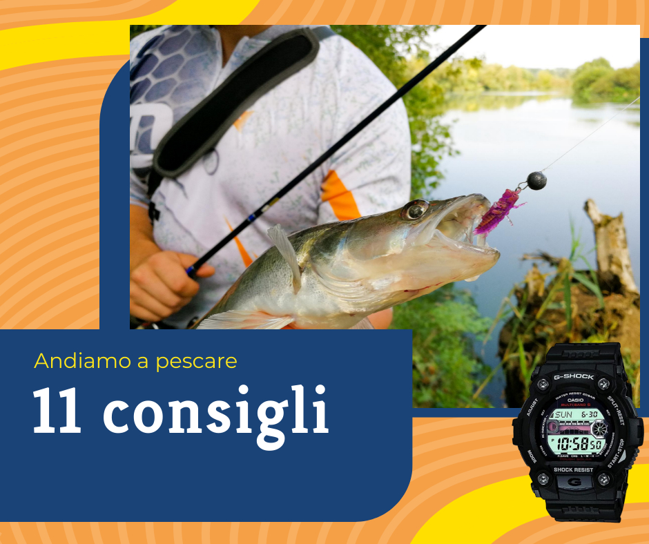 🐟 Pesca: 11 consigli importanti.