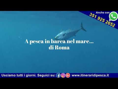 🎥Video: Charter di pesca a Roma -  Esci con la nostra barca da Fiumicino
