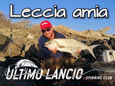 🎥Video: Leccia amia a spinning alla foce del Tevere