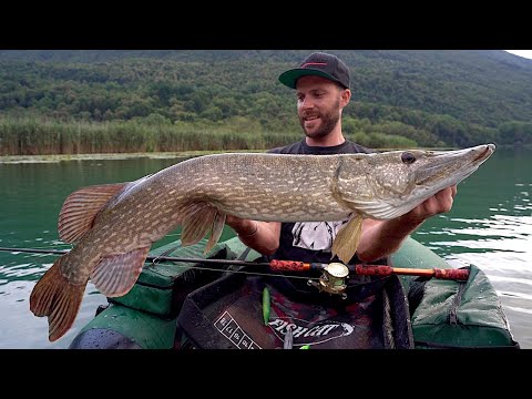 🎥Video: Pesca i lucci a galla. Ecco come.