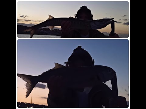🎥Video: SERRA e BARRACUDA a spinning scopriamo come!