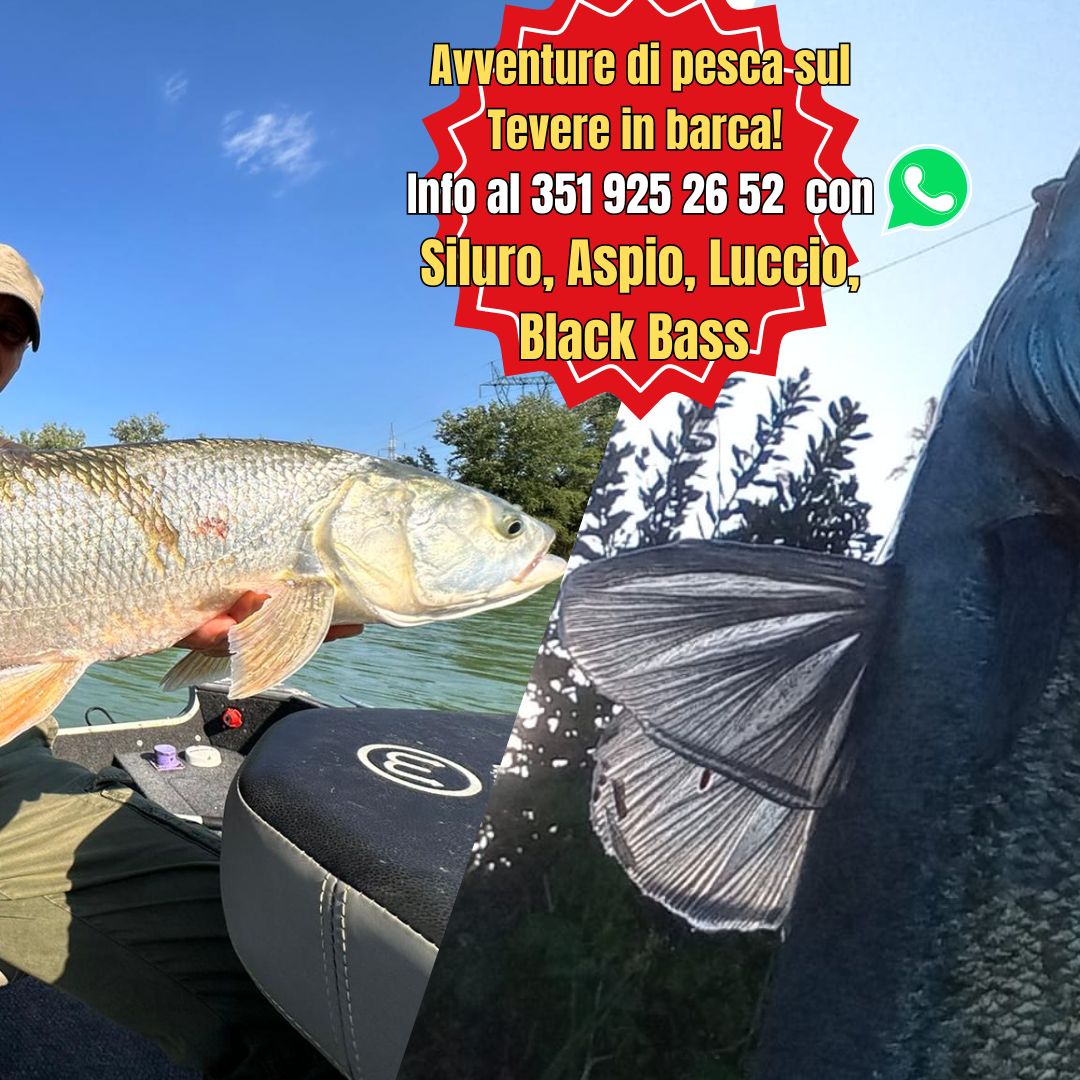 Pesca retrattile rete da 36 pollici di pesce laghetto Pesca retrattile rete da 36 pollici di pesce laghetto