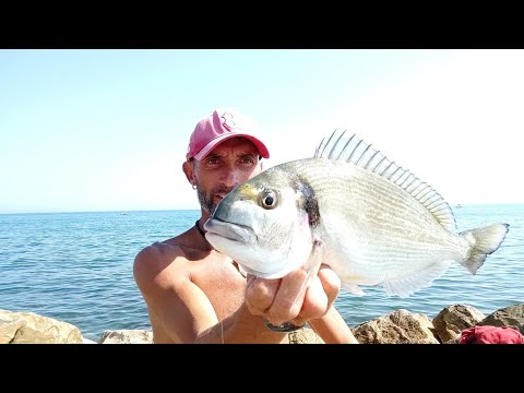 🎥Video: PESCARE LE ORATE CON LA COZZA 