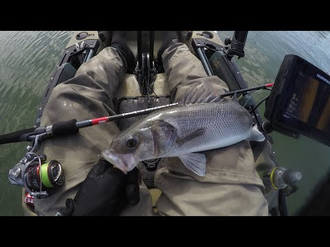 🎥Video: Spigole in Kayak - Foce del Tevere