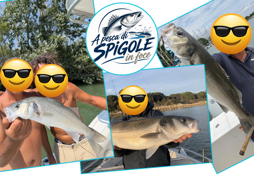 Boat Fishing at the Mouth of the Tiber River: Sea Bass, Giant Carp and More